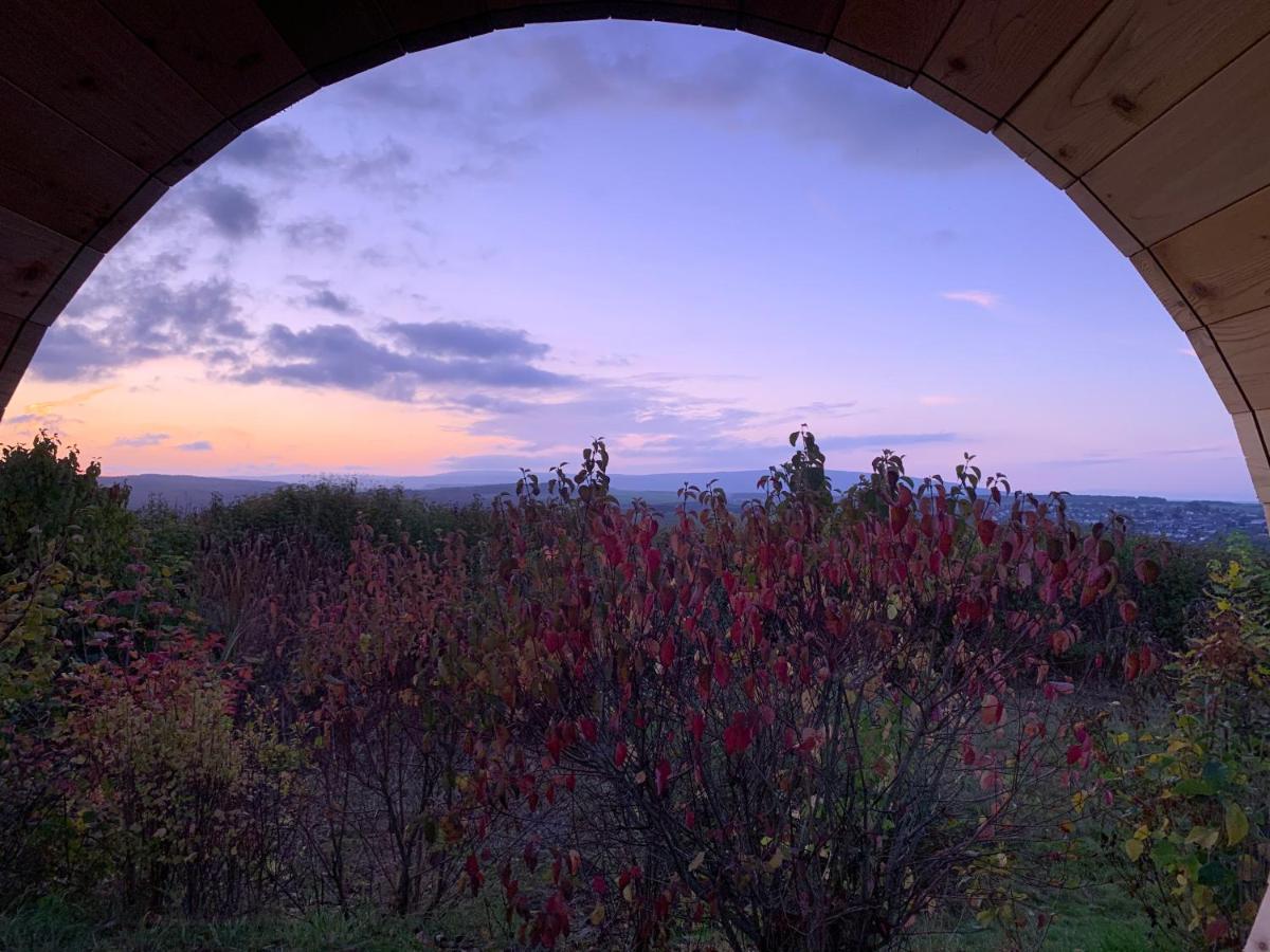 Hunsrueck Valley View Apartment With Cedar Sauna Bruschied المظهر الخارجي الصورة